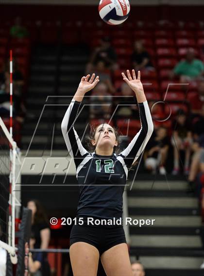 Thumbnail 2 in Carroll @ Lovejoy photogallery.