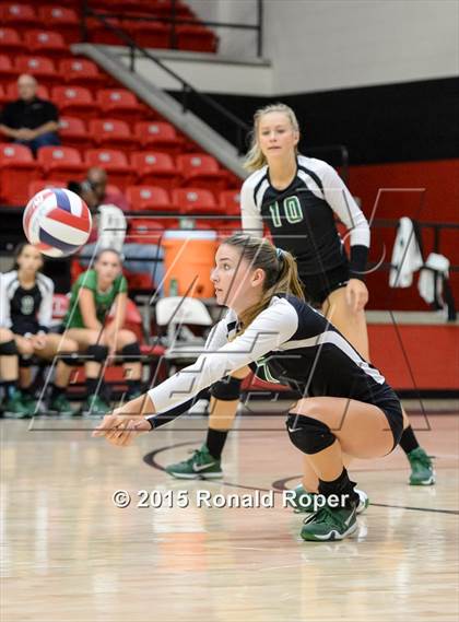 Thumbnail 2 in Carroll @ Lovejoy photogallery.