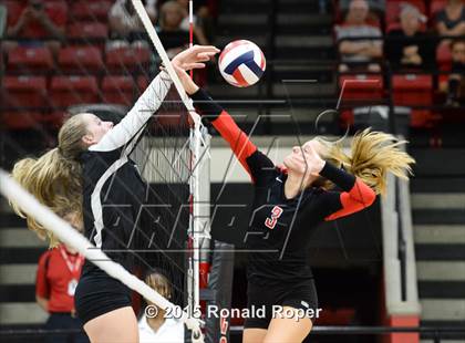 Thumbnail 1 in Carroll @ Lovejoy photogallery.