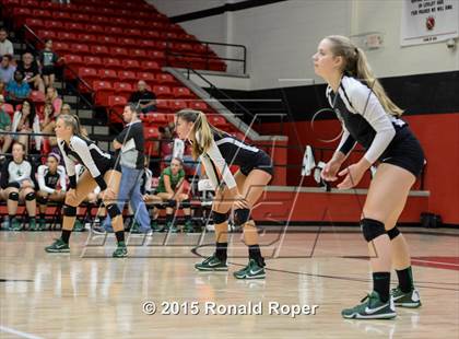 Thumbnail 1 in Carroll @ Lovejoy photogallery.