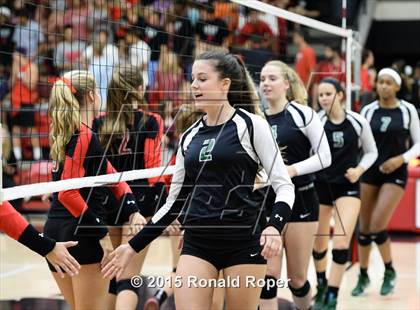 Thumbnail 2 in Carroll @ Lovejoy photogallery.