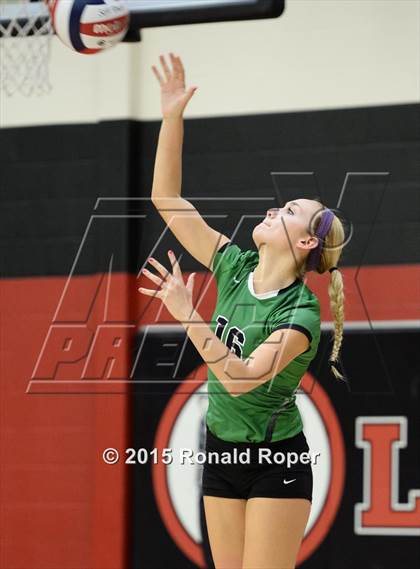 Thumbnail 1 in Carroll @ Lovejoy photogallery.