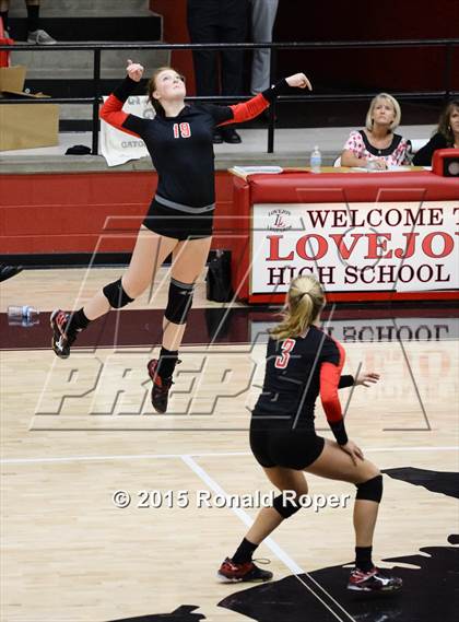Thumbnail 1 in Carroll @ Lovejoy photogallery.