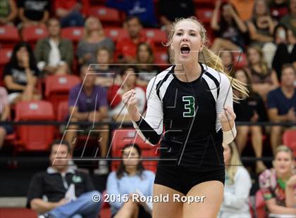 Thumbnail 2 in Carroll @ Lovejoy photogallery.