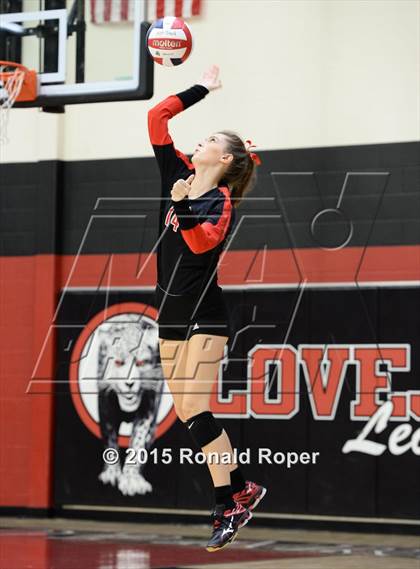 Thumbnail 1 in Carroll @ Lovejoy photogallery.