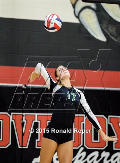 Thumbnail 2 in Carroll @ Lovejoy photogallery.