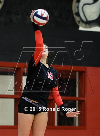 Thumbnail 2 in Carroll @ Lovejoy photogallery.