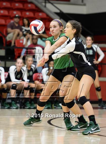 Thumbnail 2 in Carroll @ Lovejoy photogallery.