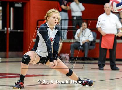 Thumbnail 3 in Carroll @ Lovejoy photogallery.
