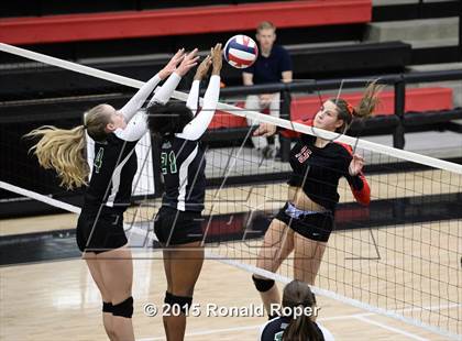 Thumbnail 1 in Carroll @ Lovejoy photogallery.