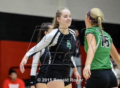 Thumbnail 3 in Carroll @ Lovejoy photogallery.