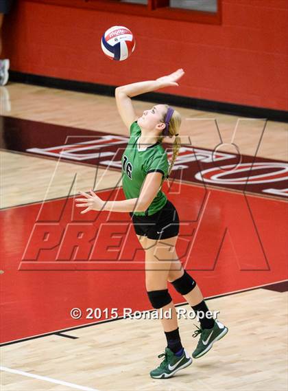 Thumbnail 1 in Carroll @ Lovejoy photogallery.