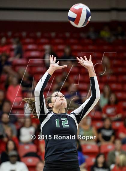 Thumbnail 3 in Carroll @ Lovejoy photogallery.