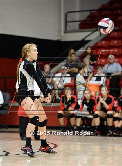 Thumbnail 1 in Carroll @ Lovejoy photogallery.
