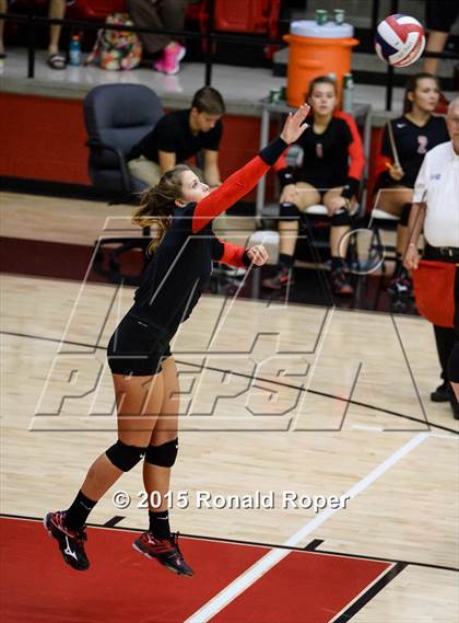 Thumbnail 1 in Carroll @ Lovejoy photogallery.
