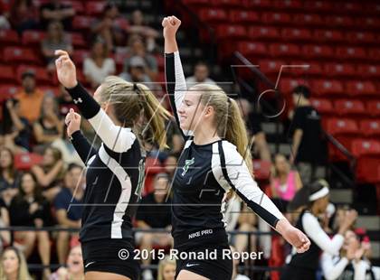 Thumbnail 3 in Carroll @ Lovejoy photogallery.