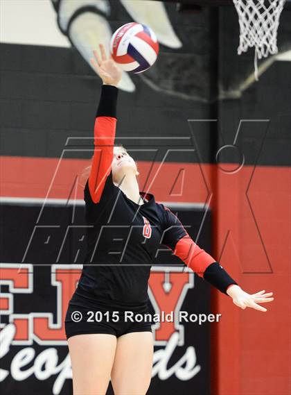 Thumbnail 3 in Carroll @ Lovejoy photogallery.