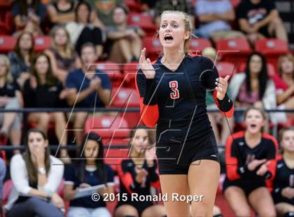 Thumbnail 2 in Carroll @ Lovejoy photogallery.