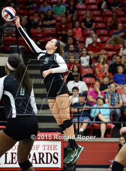 Thumbnail 2 in Carroll @ Lovejoy photogallery.