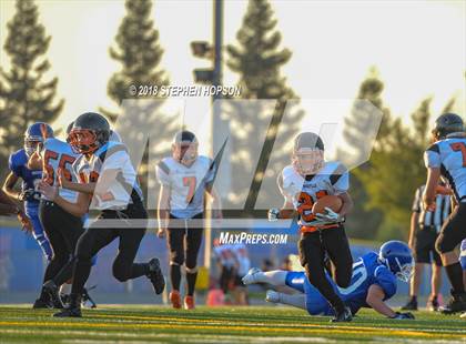 Thumbnail 3 in Roseville @ Bearcreek photogallery.