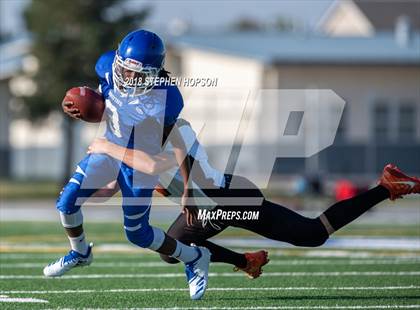 Thumbnail 2 in Roseville @ Bearcreek photogallery.