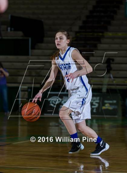 Thumbnail 3 in Panama vs. Heuvelton Central (NYSPHSAA Class D Final) photogallery.