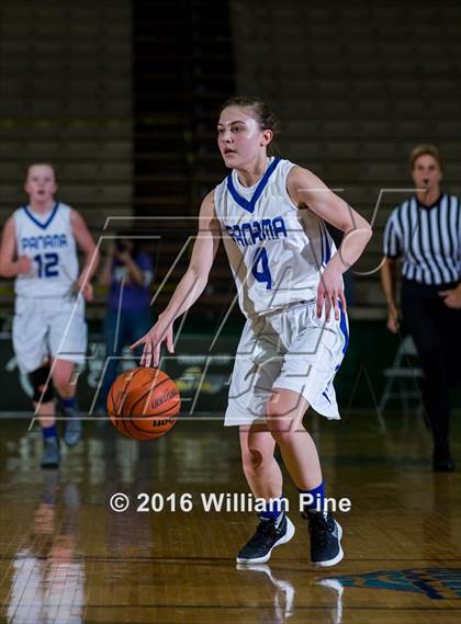 Thumbnail 1 in Panama vs. Heuvelton Central (NYSPHSAA Class D Final) photogallery.