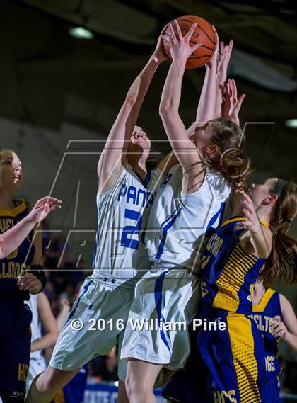 Thumbnail 1 in Panama vs. Heuvelton Central (NYSPHSAA Class D Final) photogallery.