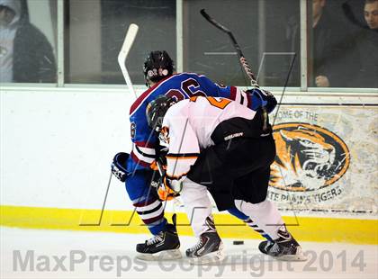 Thumbnail 2 in Rye Town/Harrison @ White Plains photogallery.