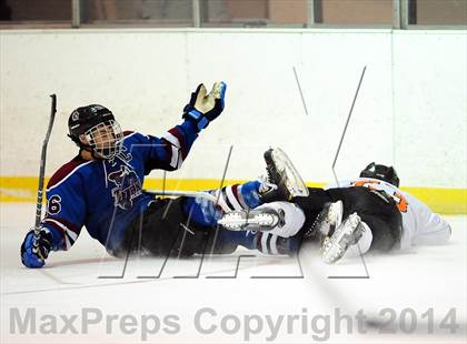 Thumbnail 2 in Rye Town/Harrison @ White Plains photogallery.
