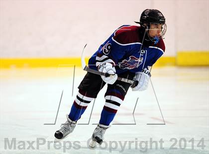 Thumbnail 3 in Rye Town/Harrison @ White Plains photogallery.