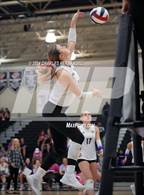 Photo from the gallery "Montgomery @ College Station"