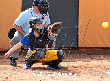Thumbnail 1 in Gatlinburg-Pittman vs Greenback photogallery.