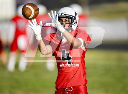 Thumbnail 1 in Sahuaro vs Cienega photogallery.