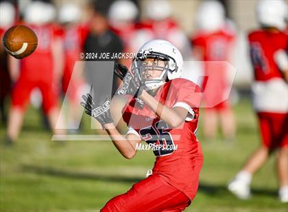 Thumbnail 3 in Sahuaro vs Cienega photogallery.