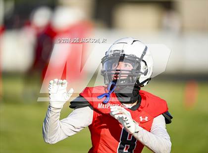 Thumbnail 3 in Sahuaro vs Cienega photogallery.
