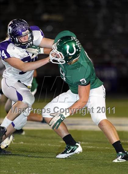 Thumbnail 2 in Paschal @ Arlington photogallery.