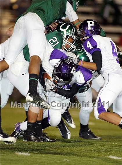 Thumbnail 1 in Paschal @ Arlington photogallery.