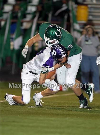 Thumbnail 3 in Paschal @ Arlington photogallery.