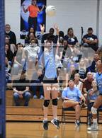Photo from the gallery "White Oak @ Swansboro"
