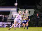 Photo from the gallery "Fairport @ Victor"