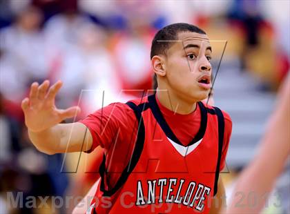 Thumbnail 2 in Antelope @ Whitney photogallery.