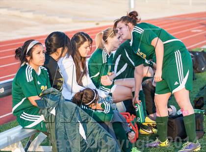 Thumbnail 1 in Pampa @ Canyon photogallery.