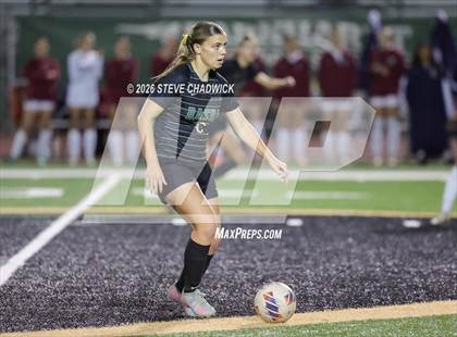 Thumbnail 1 in Perry @ Basha photogallery.