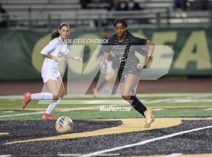 Thumbnail 3 in Perry @ Basha photogallery.