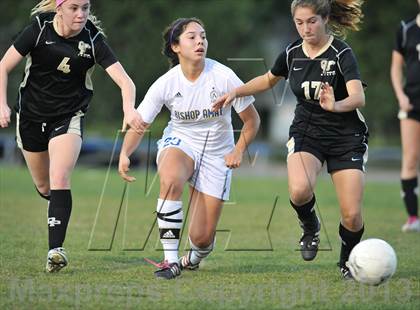 Thumbnail 3 in Oak Park @ Bishop Amat (CIF SS D3 Playoffs) photogallery.