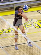 Photo from the gallery "Buckingham Charter @ Western Sierra Collegiate Academy"