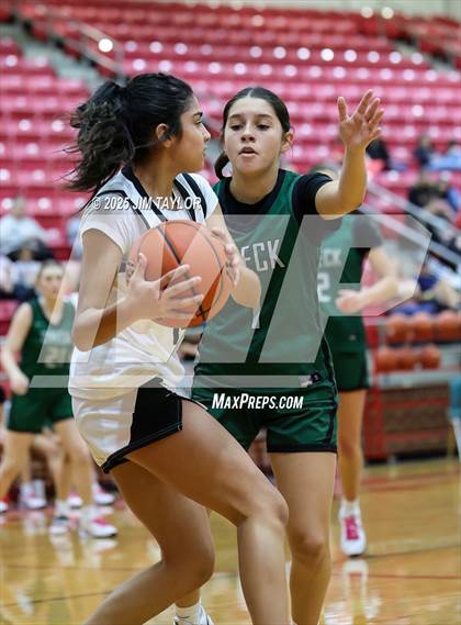 Thumbnail 3 in Breckenridge @ Mineral Wells photogallery.