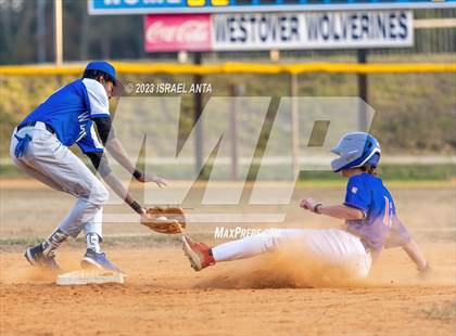 Thumbnail 1 in Western Harnett @ Westover photogallery.