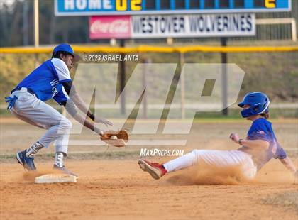 Thumbnail 2 in Western Harnett @ Westover photogallery.